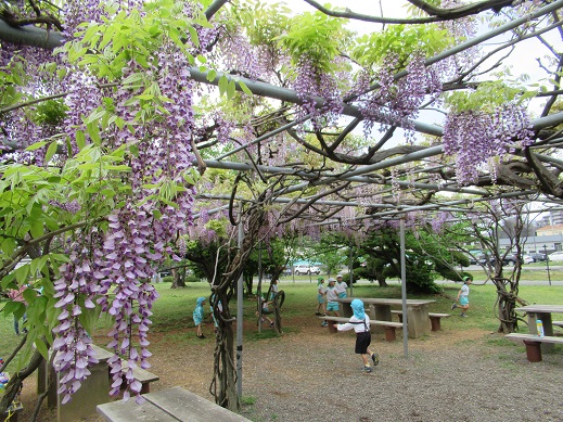 子どもたちの笑顔が満開 Blog まーぶるこども園 社会福祉法人 貝塚中央福祉会